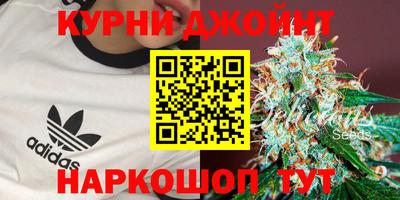 PSILOCYBIN Рязань