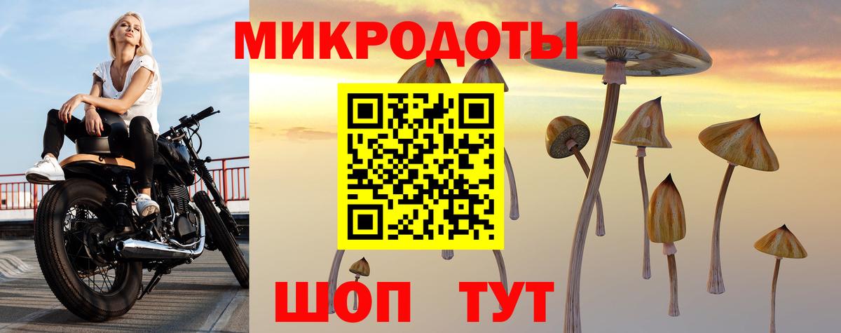 Россия  Псилоцибиновые грибы прущие грибы  Вход с VPN 