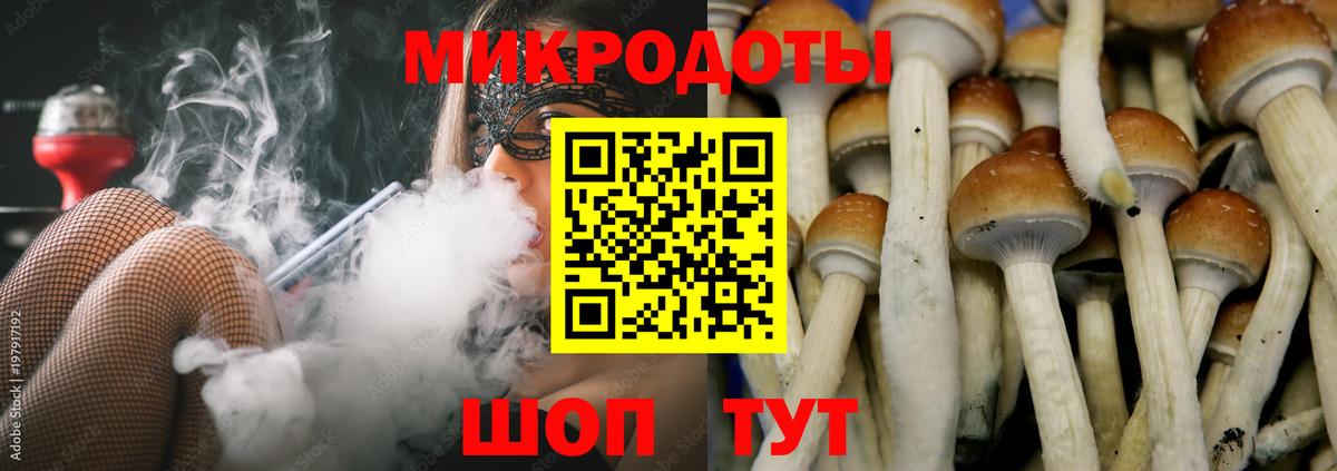 Псилоцибиновые грибы ЛСД Россия